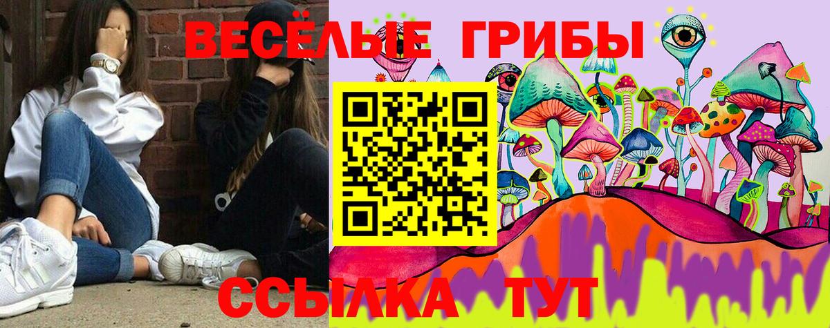 Псилоцибиновые грибы мухоморы Нурлат